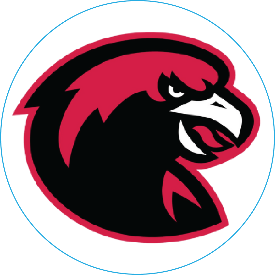 BPHS 1” circle transparent custom helmet decal