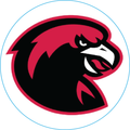 BPHS 1” circle transparent custom helmet decal